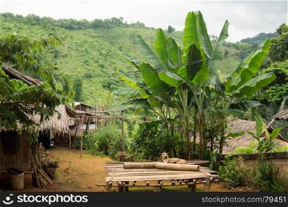 Round trip thailand july 2017 - nature in Chiang Rai, Akha mountain village . Visit to the nature in Chiang Rai, Akha mountain village