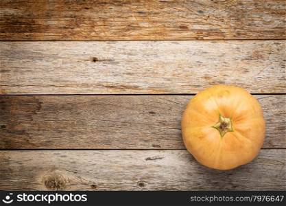 round winter squash on a grunge weathered barn wood with a copy space