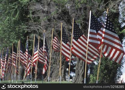 Row of American Flags