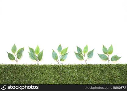 row of artificial branches . Resolution and high quality beautiful photo. row of artificial branches . High quality and resolution beautiful photo concept