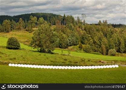 Row of bales on a farmland, Highlands, Norway