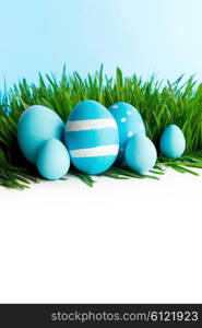 Row of blue Easter Eggs in fresh green grass isolated on white background