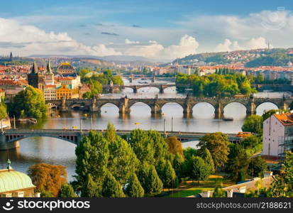 Row of bridges in Prague at summer day