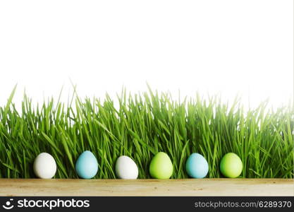 Row of Easter Eggs in fresh green grass isolated on white background