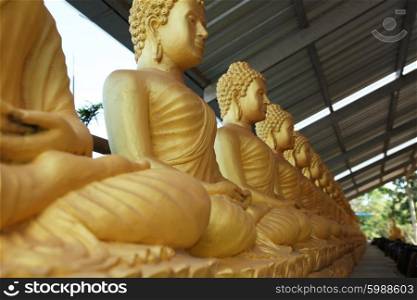 Row of golden seated buddhas. Row of golden seated buddhas in Thailand