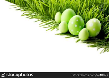 Row of green Easter Eggs in fresh green grass isolated on white background