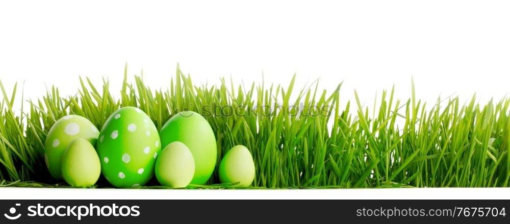 Row of green Easter Eggs in fresh green grass isolated on white background. Row of Easter Eggs in grass
