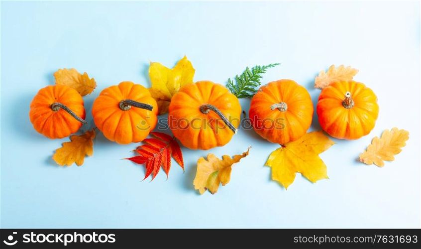 Row of orange pumpkins and leaves on blue background banner. pumpkin on table