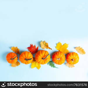 Row of orange pumpkins and leaves on blue background with copy space. pumpkin on table