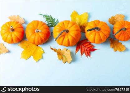Row of orange pumpkins and leaves on blue background with copy space. pumpkin on table