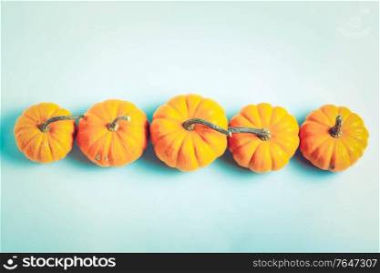 Row of orange pumpkins on blue background, retro toned. pumpkin on table
