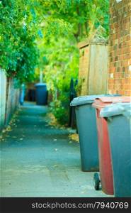 Row of plastic wheely bins in the street outside houses in England