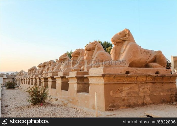 Row of ram-headed spinxes in Karnak Temple,Luxor, Egypt