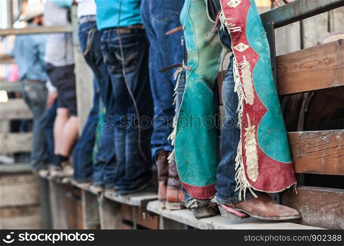 Row of Rodeo Cowboys Standing on Old Wooden Rail with Blue Jeans Boots and Chaps