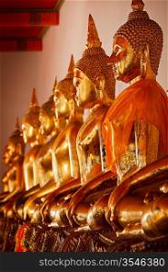 Row of sitting Buddha statues in Buddhist temple Wat Pho, Bangkok, Thailand