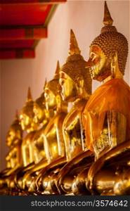 Row of sitting Buddha statues in Buddhist temple Wat Pho, Bangkok, Thailand