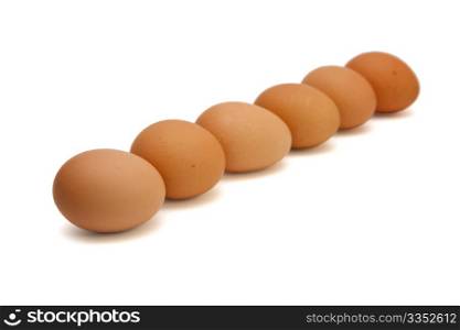 Row of six brown eggs isolated