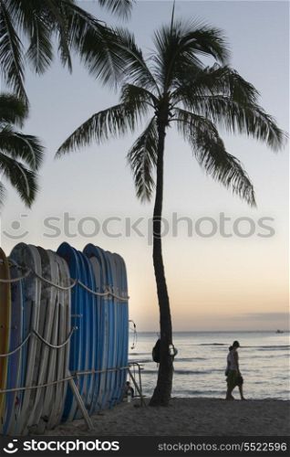Row of surfboards on the beach, Waikiki, Honolulu, Oahu, Hawaii, USA