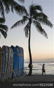 Row of surfboards on the beach, Waikiki, Honolulu, Oahu, Hawaii, USA
