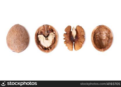 Row of walnuts isolated on white background