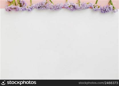 row purple flowers white background