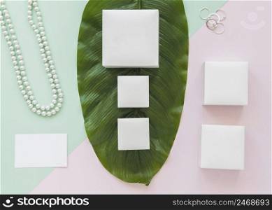 row white boxes green leaf with jewelry pastel background