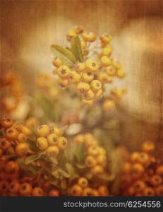 Rowanberry grunge background, abstract floral backdrop, beautiful little yellow berry on the branch, retro style photo, fine art, gorgeous plant concept
