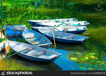 rowing boats in the pond in the early morning