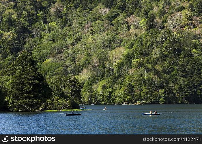 Rowing boats on lake