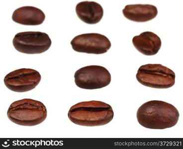 rows and lines from roasted coffee beans with focus foreground