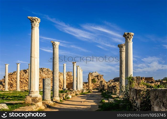 Rows of ancient columns at Salamis, Greek and Roman archaeological site, Famagusta, North Cyprus