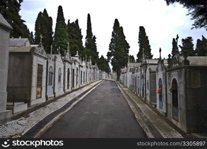 rows of family mausoleums on an old european cemetery