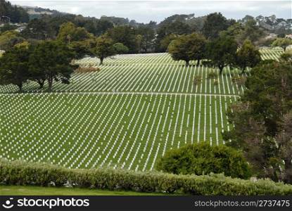 Rows of headstones in a military cemetery