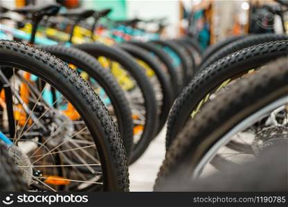 Rows of mountain bicycles in sports shop, focus on wheels, nobody. Summer active leisure, showcase with bikes for extreme riding, cycle sale