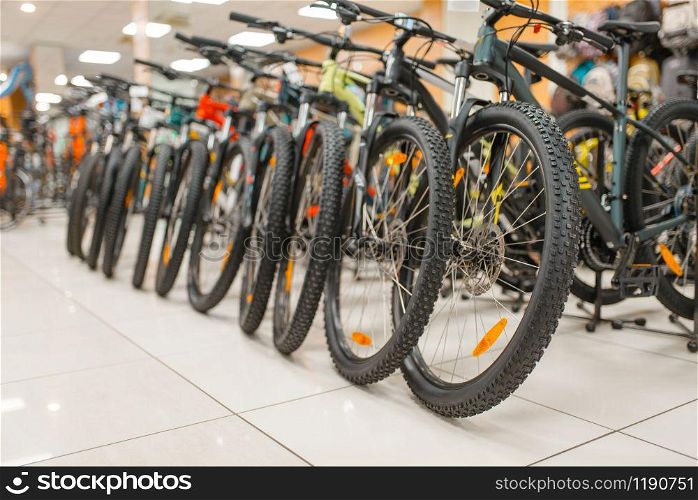 Rows of mountain bicycles in sports shop, nobody. Summer active leisure, showcase with bikes, cycle sale. Rows of mountain bicycles in sports shop, nobody