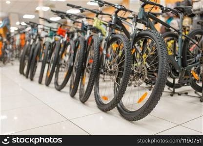 Rows of mountain bicycles in sports shop, nobody. Summer active leisure, showcase with bikes, cycle sale. Rows of mountain bicycles in sports shop, nobody