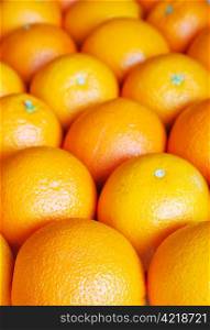 Rows of oranges. Oranges