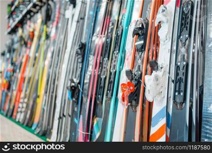 Rows of skis in sports shop, closeup, nobody. Winter extreme, active leisure, showcase with equipment