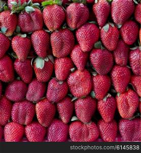 Rows of Strawberries for sale at market stall, Arcos de San Miguel, San Miguel de Allende, Guanajuato, Mexico