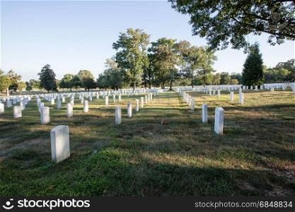 Rows of white graves stones in Arlington cemetery, Washington DC