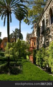 Royal garden of Alcazar palace with palm trees in front of blue sky