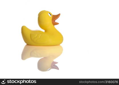 Rubber duck