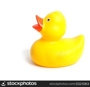 Rubber duck