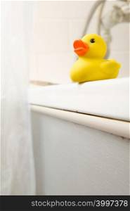 Rubber duck on edge of bath