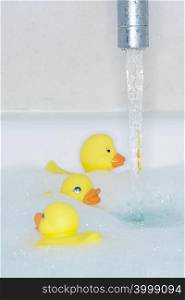 Rubber ducks in running bath