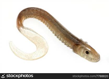 rubber imitation lure lamprey fishing for brown on white background