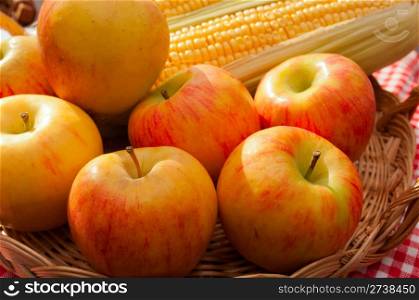 Rubens Apples And Corn Cobs in Basket in the Sunlight