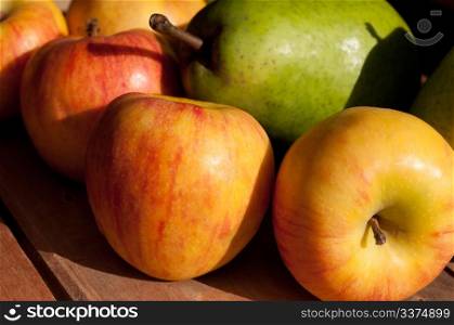 Rubens Apples and Pears on Wooden Table in Sunlight