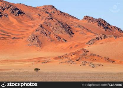 Rugged dune landscape, Sossusvlei, Namib desert, Namibia