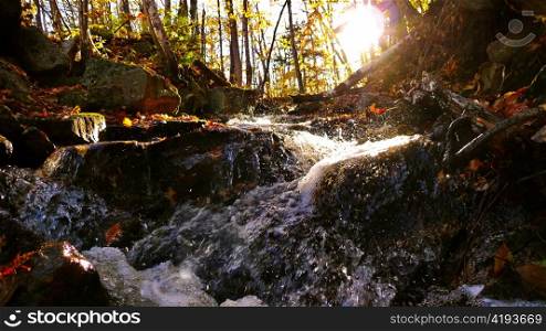 Rugged environmentally protected forest stream.